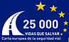 logo Carta Europea de la Seguridad Vial